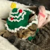 Beginner Bundle – Christmas Cat Hat - 图片 4