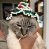 Beginner Bundle – Christmas Cat Hat